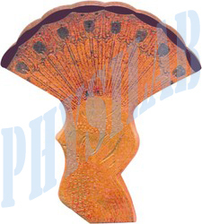 फाइबर ग्लास एलएस कीट आई मॉडल