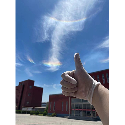 Full Finger Vinyl Glove - High-quality Pvc Material, Disposable, Powder-free, Quick Dry, Plain Pattern, Different Color Options