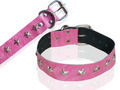 High Quaility Two Layer Leather0id Dog Collar (D039c)