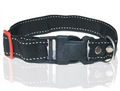 High Quility Nylon Dog Collar (N009c)