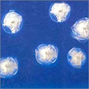 Polycarbonate Bulletproof Material
