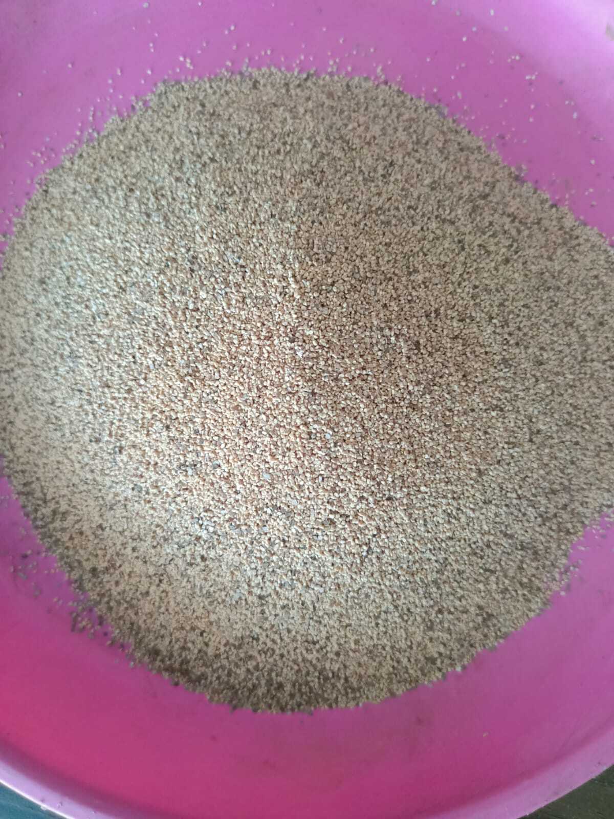 Cosmetic Walnut Shell Granules - Natural Walnut Shell Powder, Coarse Size, Skin Color | Organic Cosmetic-grade, Ideal For Exfoliation In Body & Bath Products