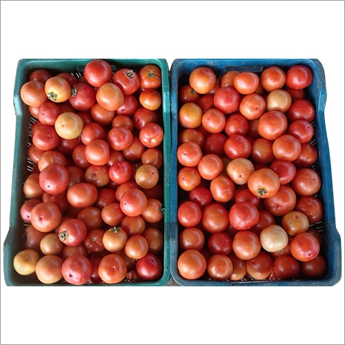 Fresh Tomato - Round Shape, Raw Processing, Bright Red Color | Juicy Texture, Versatile Culinary Uses, Ideal for Salads and Sauces
