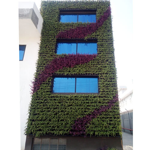 विभिन्न उपलब्ध फेकाडे वर्टिकल गार्डन वॉल