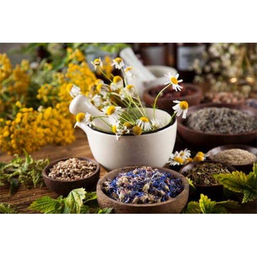 Natural Herb Powder - Food Grade, 1-Year Shelf Life, High Antioxidant Content | Boosts Energy Levels, Enhances Flavor & Quality of Life