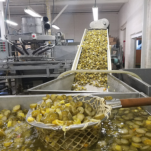 खीरे का अचार की शेल्फ लाइफ: 1 साल