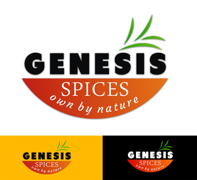 Digital Logo Design Services