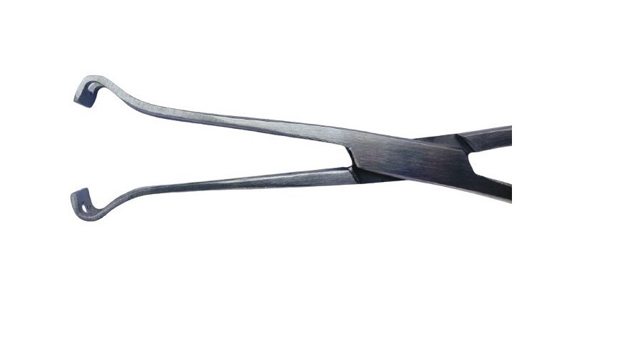 Babcock Forceps - 6 Inch, Steel Construction | New Portable Veterinary Surgical Instrument
