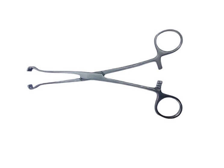 Babcock Forceps - 6 Inch, Steel Construction | New Portable Veterinary Surgical Instrument
