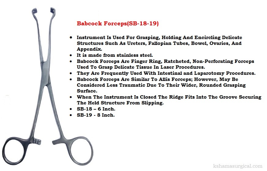 Babcock Forceps - 6 Inch, Steel Construction | New Portable Veterinary Surgical Instrument