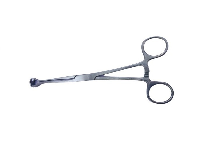 Babcock Forceps - 6 Inch, Steel Construction | New Portable Veterinary Surgical Instrument