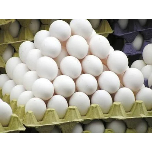 White Eggs - Freshly Laid Chicken Table Eggs Available in Multiple Sizes | High-Quality, Versatile Breakfast Ingredient