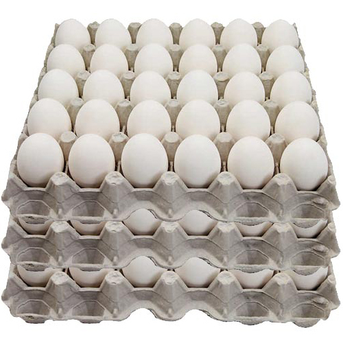 Fresh White Egg - Freshly Sourced Chicken Eggs in Various Sizes | Premium Quality Table Eggs for Daily Nutrition