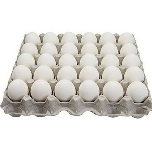 White Poultry Eggs - Fresh Table Eggs, High-Quality Nutritional Value, Varying Sizes Available