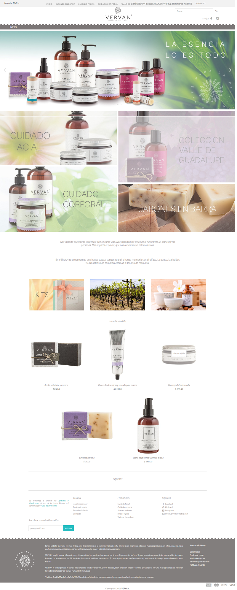 E -Commerce Development Service