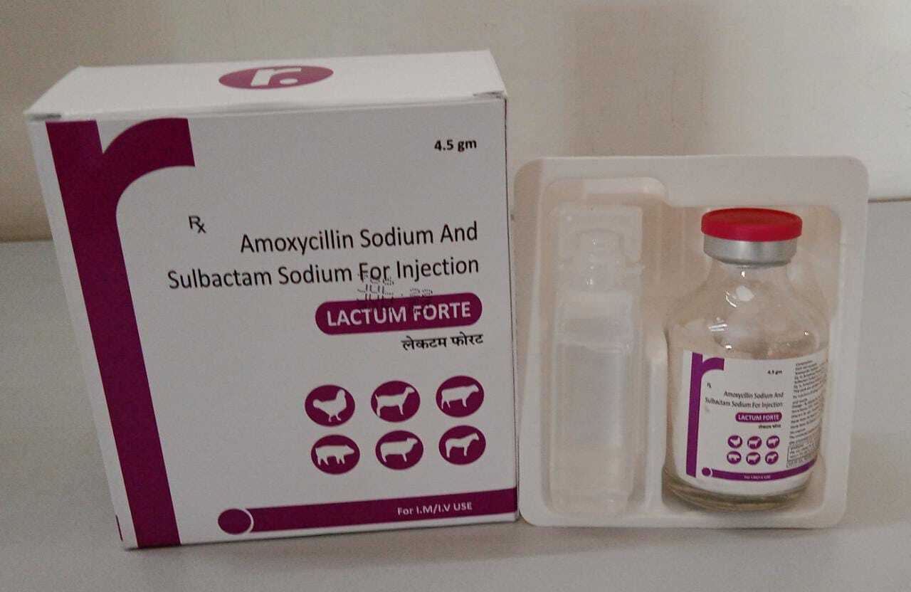 Liquid Amoxycillin Cloxacillin Injection Veterinary