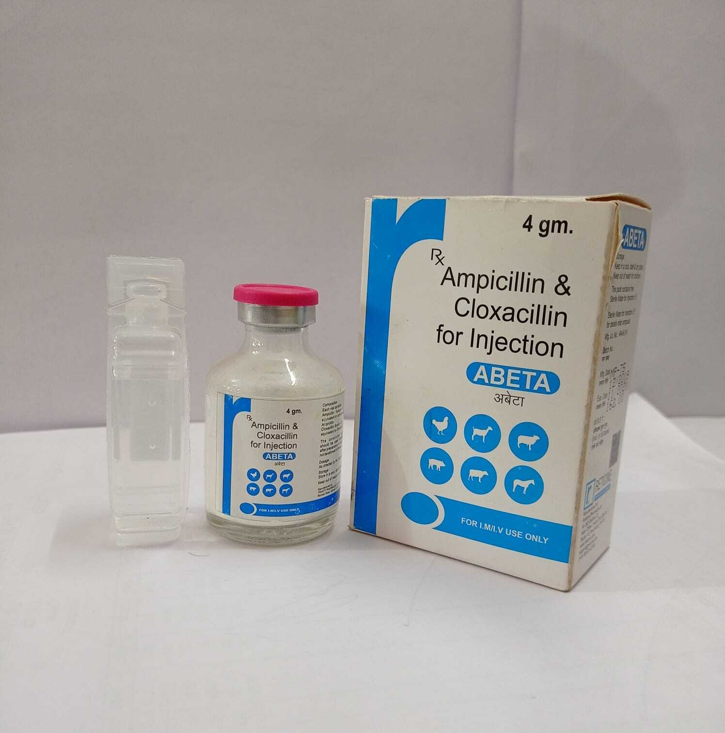 Liquid Amoxycillin Cloxacillin Injection Veterinary
