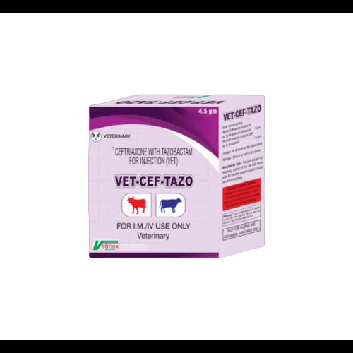 Ceftriaxone Tazobactam