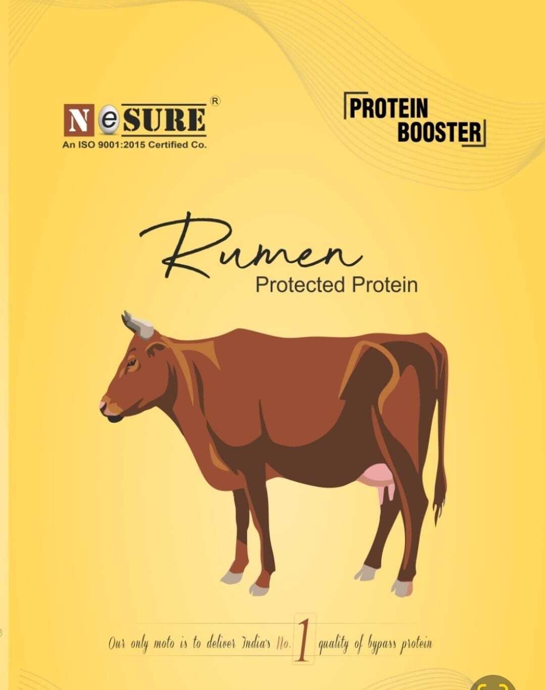 Bypass Protein With Fat For Animals - Powder | High Protein, Low Carbohydrate, Enhances Muscle Growth, Supports Lactation And Reproduction Efficiency