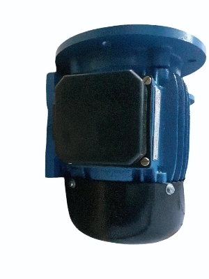 फुट कम फ्लेंज माउंटिंग मोटर फेज: सिंगल फेज