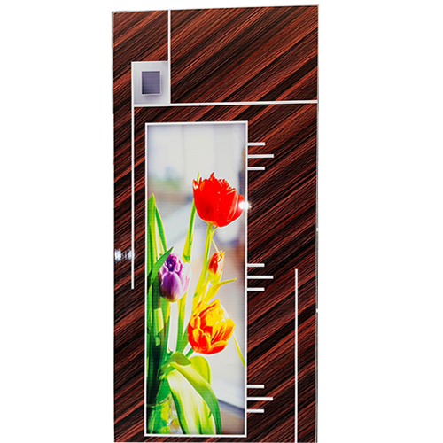 Different Available Decorative Digital Door