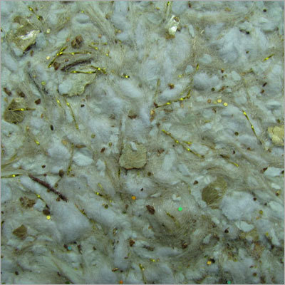 Yisenni सिल्क प्लास्टर