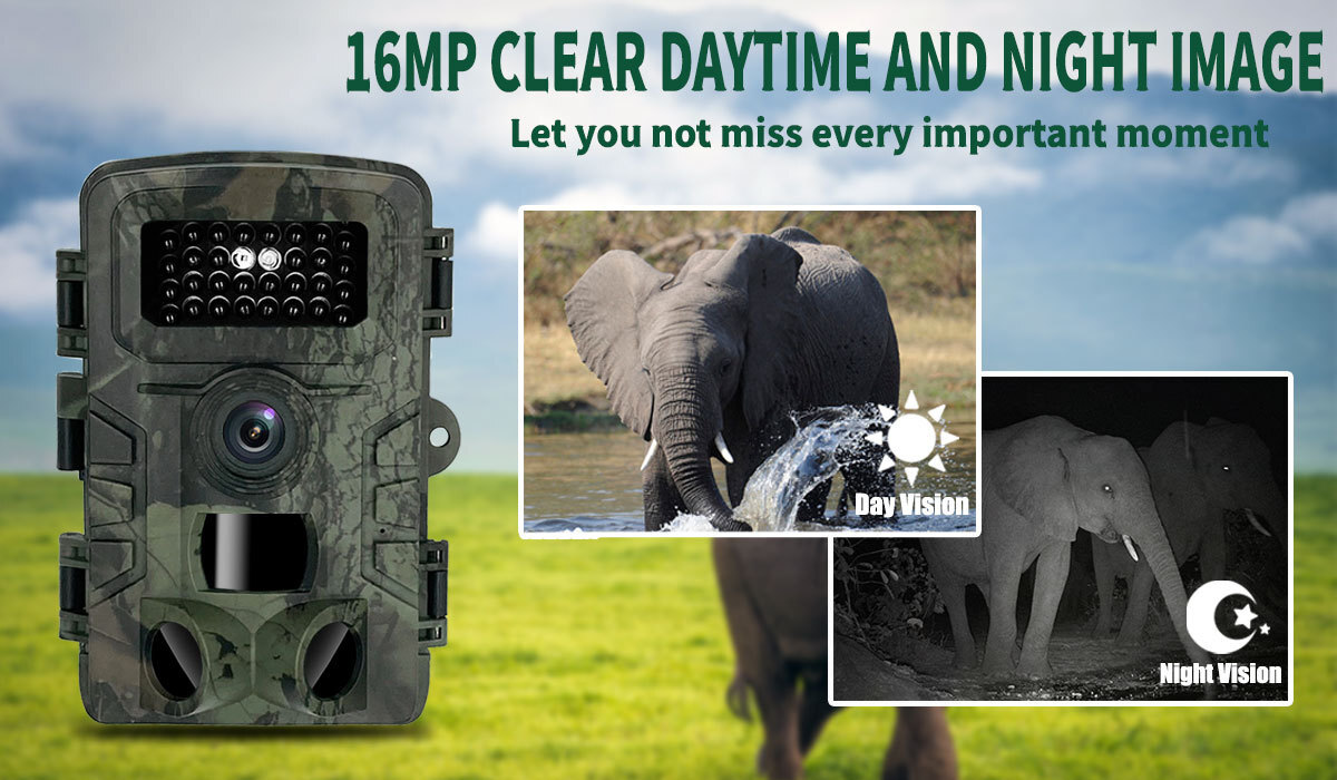 Trail Camera With Night Vision