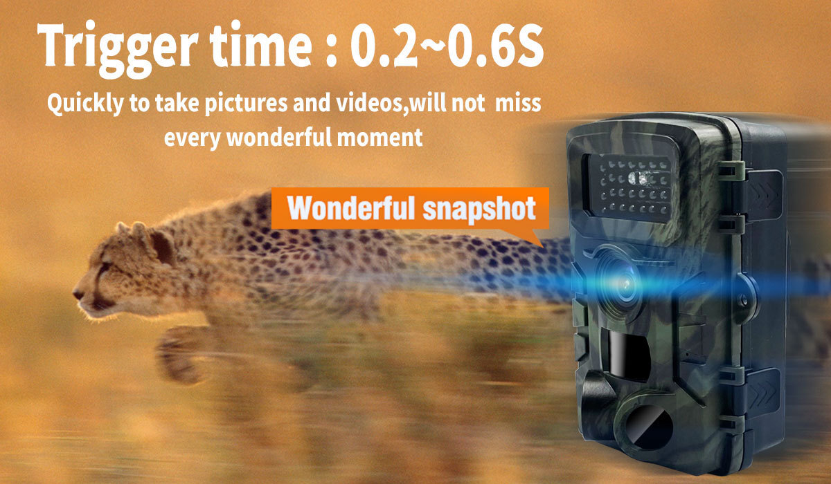 Trail Camera With Night Vision