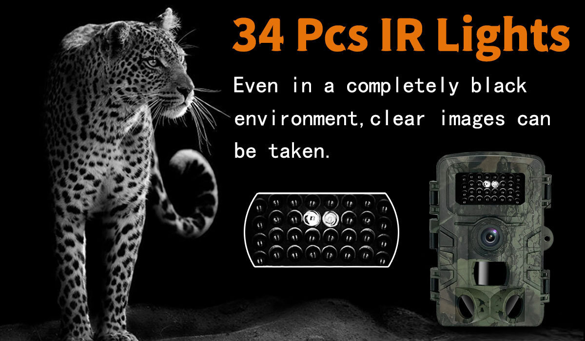 Trail Camera With Night Vision