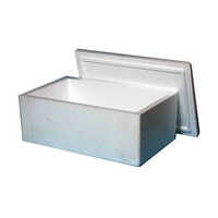 Thermocol Ice Packaging Box