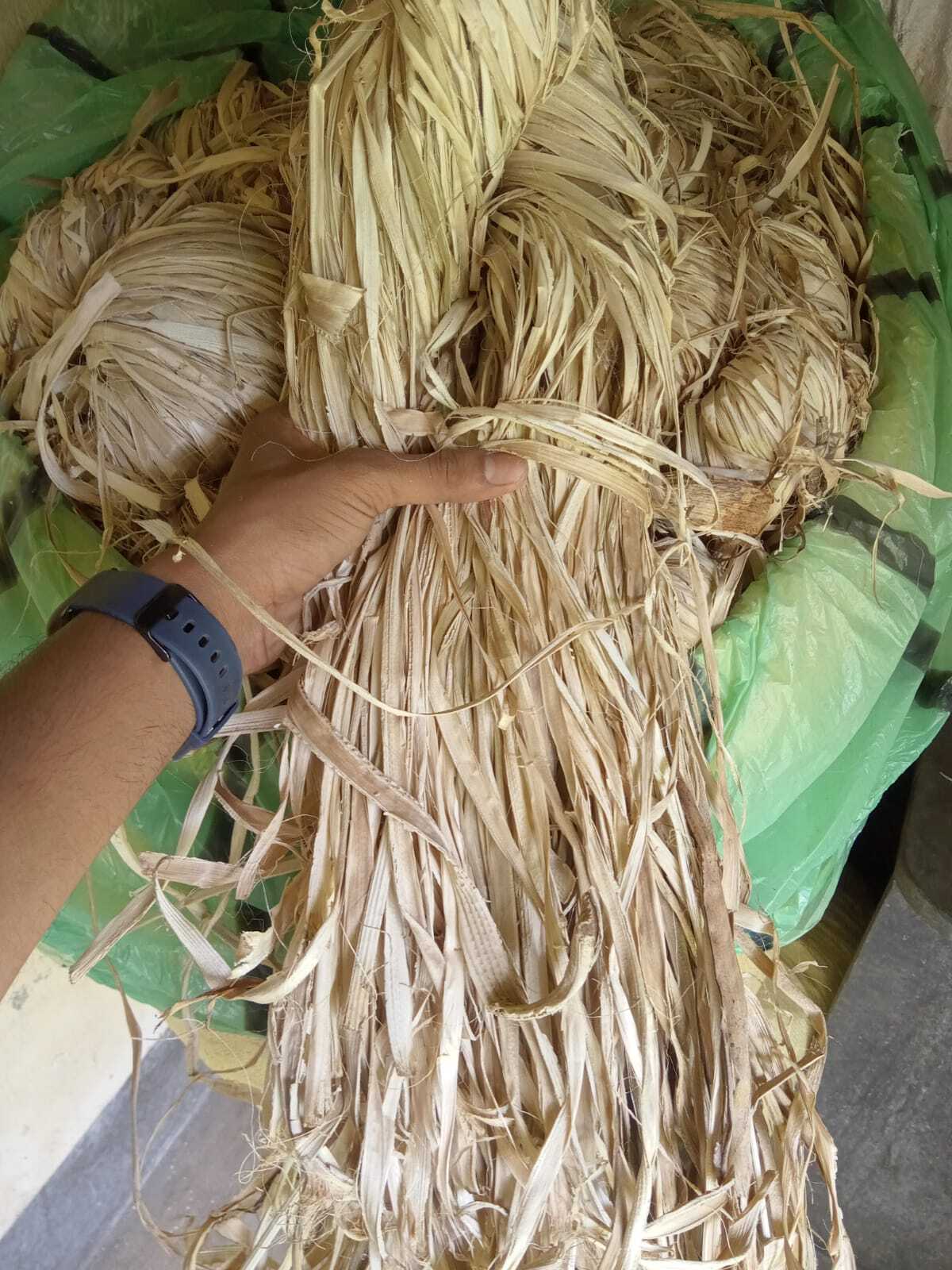 Dried Banana Stem - Natural White | Raw Material, Light In Weight, Recycled, Quick Dry, Moisture-absorbent, Durable, Open End
