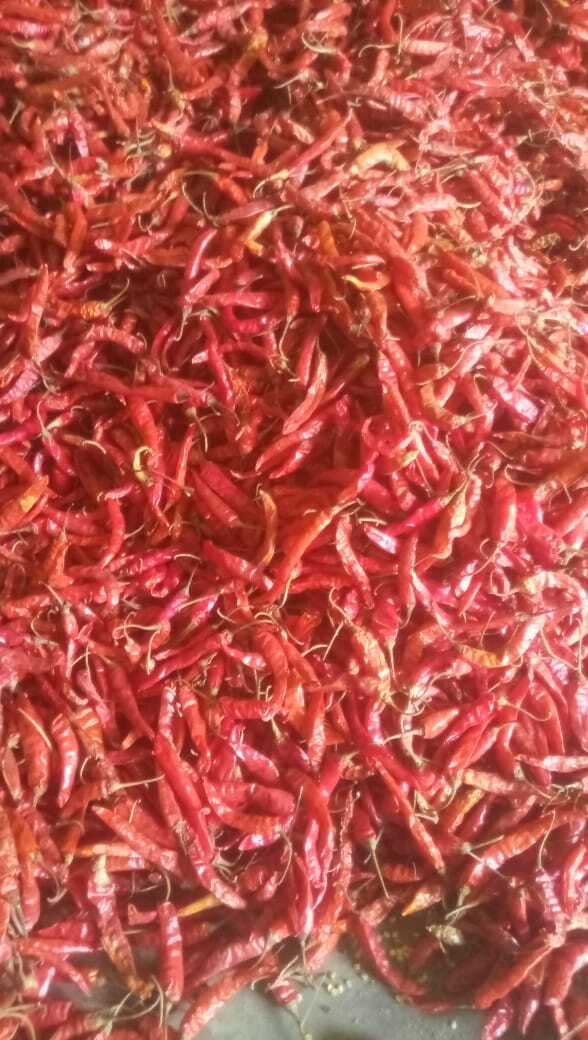 Dried Red Chilli - Grade: Food Grade