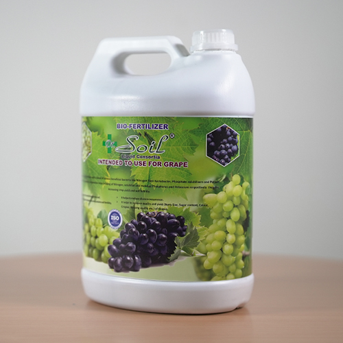 Soil-intended Bio Fertilizer - Granular, 99.5% Purity | Enhanced Root Development, Controlled Release, Optimal Grape Quality