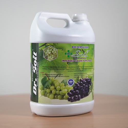 Soil-intended Bio Fertilizer - Granular, 99.5% Purity | Enhanced Root Development, Controlled Release, Optimal Grape Quality