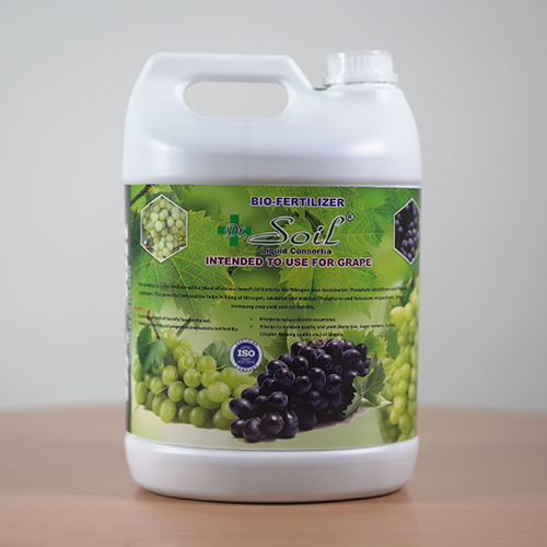 Soil-intended Bio Fertilizer - Granular, 99.5% Purity | Enhanced Root Development, Controlled Release, Optimal Grape Quality