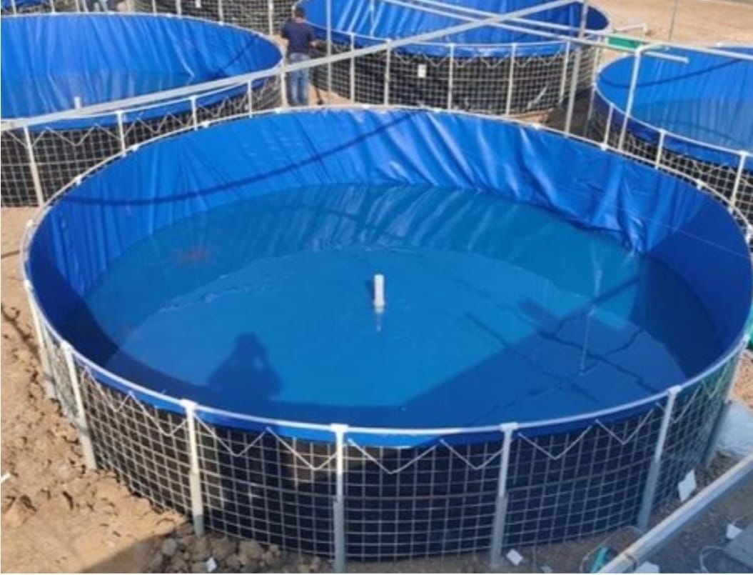 Megatex Pvc 450 Gsm Round Biofloc Fish Farming Tank Dai 2 Mtr X 1.5 Mtr Rs 4590 - Color: Dark Blue