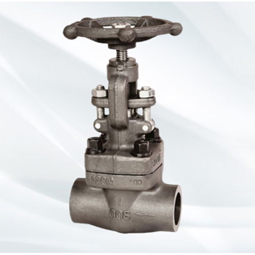 जाली स्टील ग्लोब वाल्व आवेदन: औद्योगिक