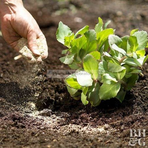 पोटाश परीक्षण सेवाएँ