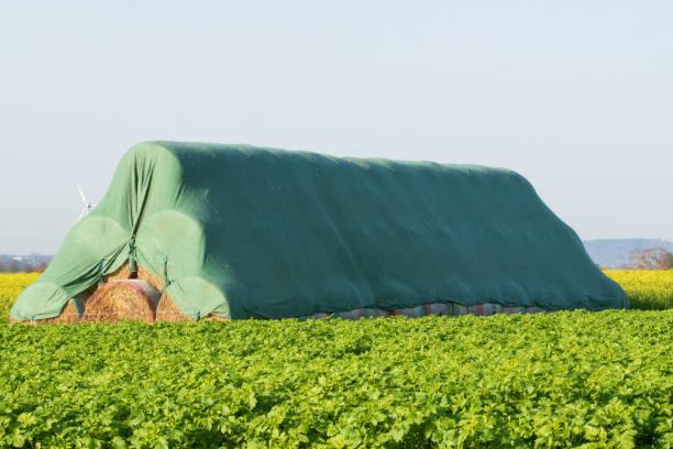 Hdpe Tarpaulin 250 Gsm - Color: Yellow