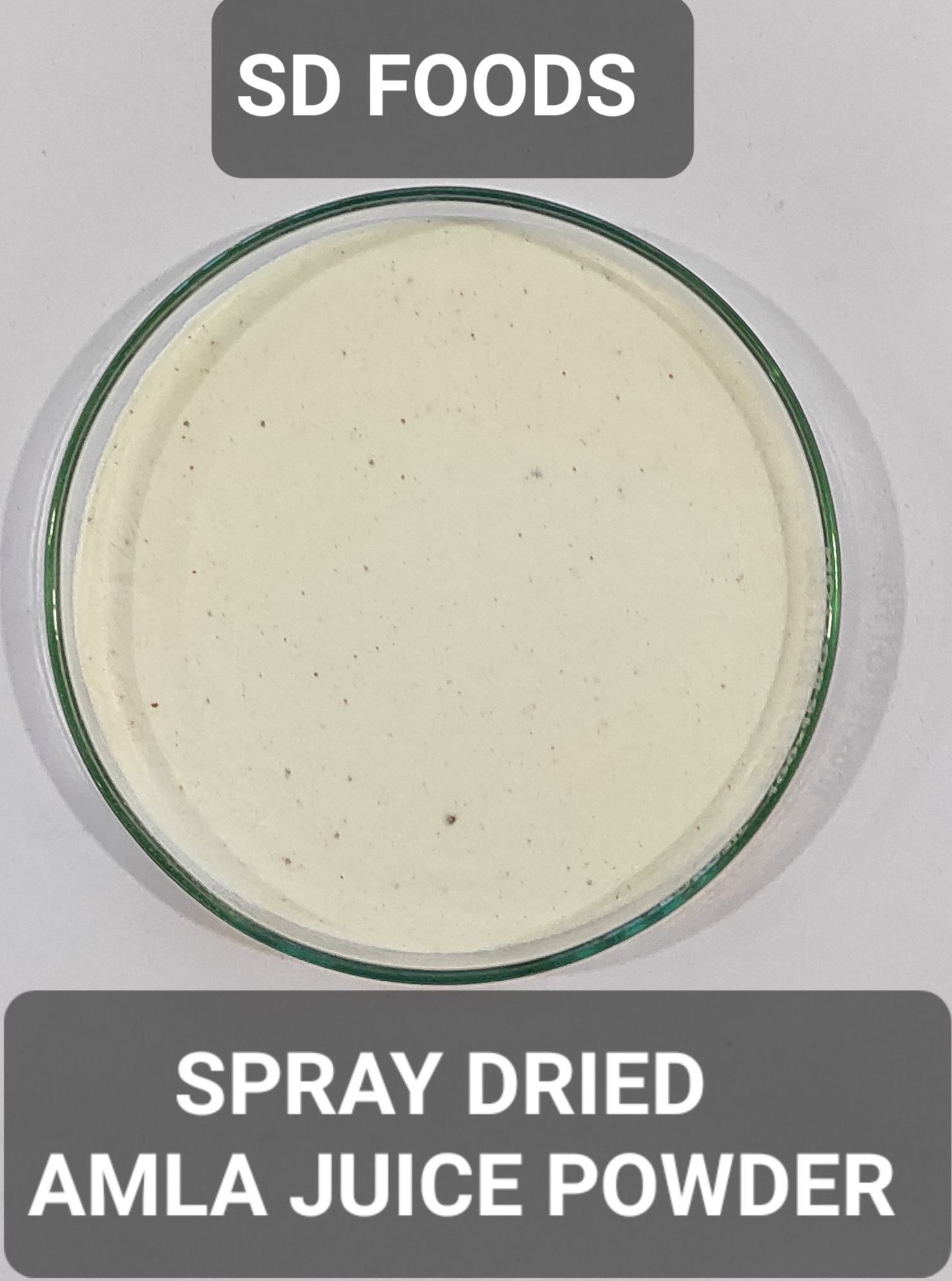 Amla Juice Powder Shelf Life: 12 Months