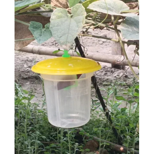 Soft Wood Pheromone Trap Commercial