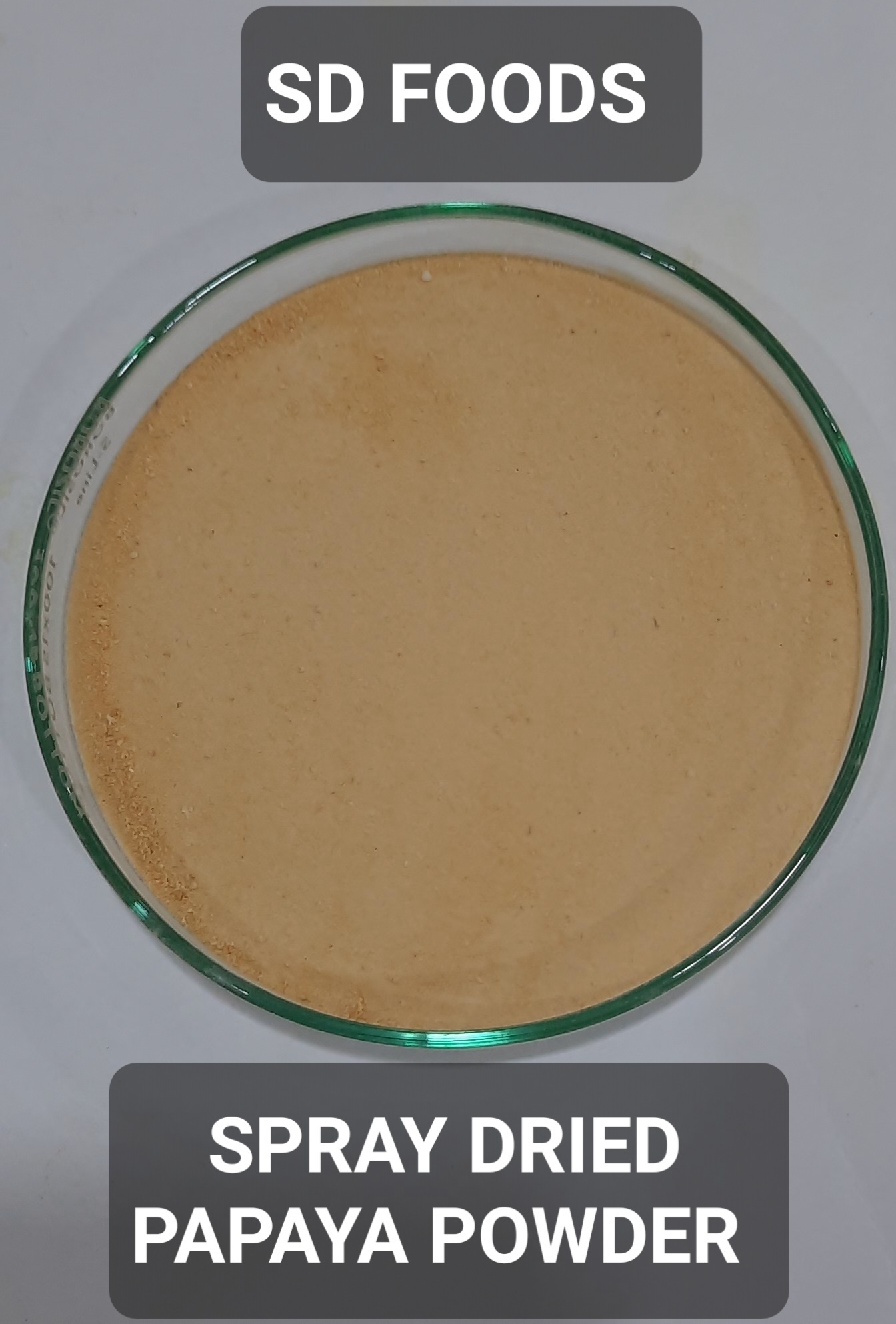 Papaya Powder Cas No: Sd-pyp