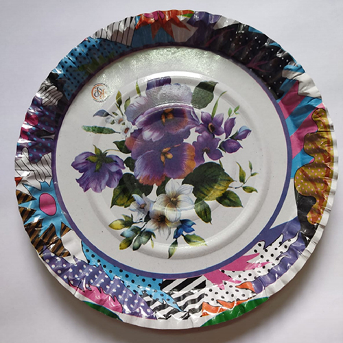 12 इंच ग्लॉसी प्रिंटेड पेपर प्लेट आवेदन: औद्योगिक