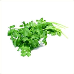 Coriander Leaves
