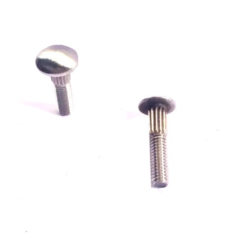 Stainless Steel Carriage Bolt - Color: Silver
