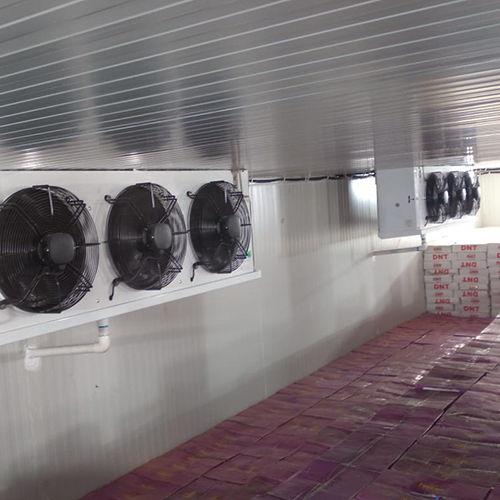 Single-temperature White Cold Room