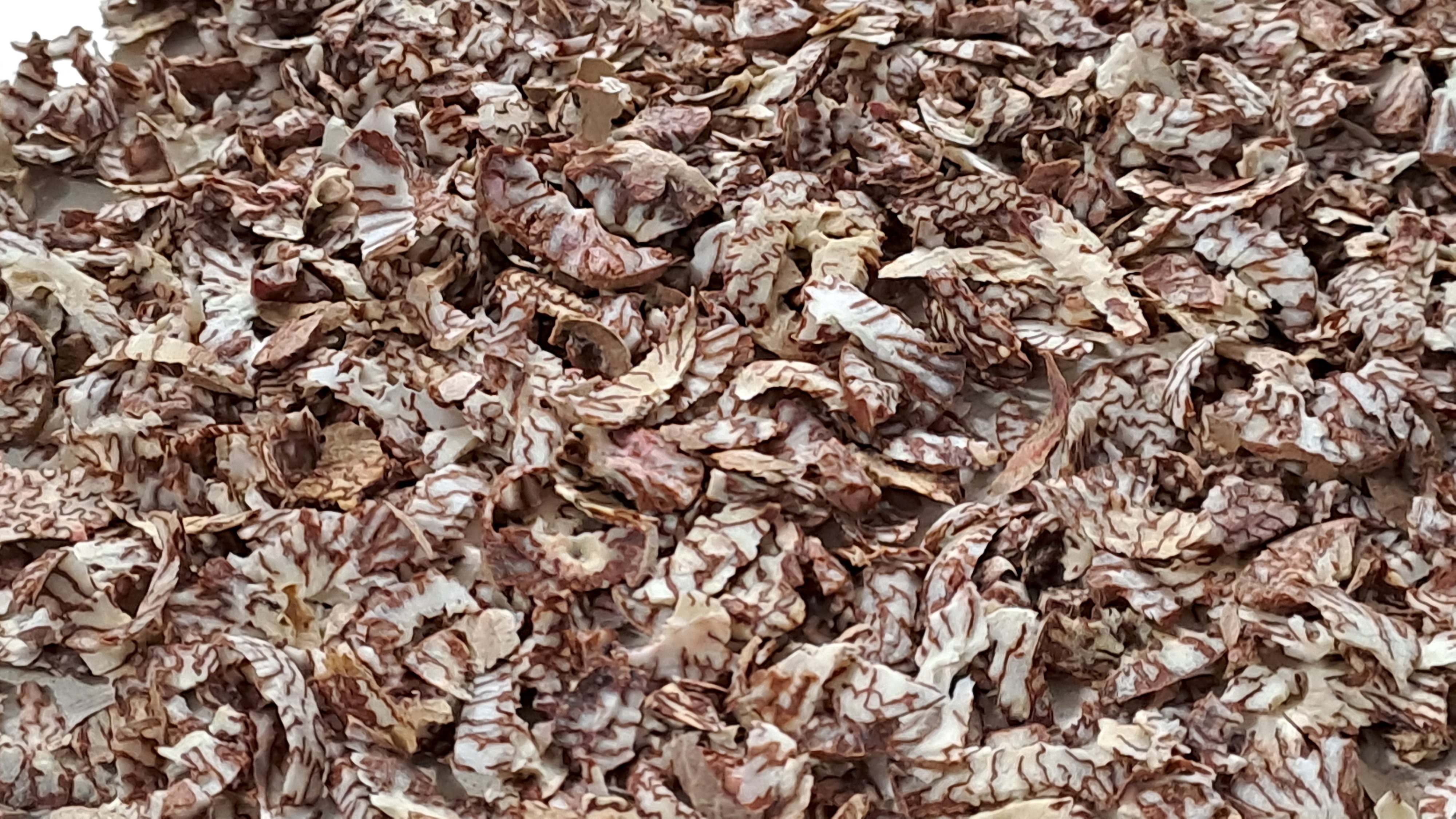 Automatic Chip Supari Cutting Machine - 1hp Motor, 2kg/min Capacity, Max Cutting Thickness 1mm, Red & White Finish, Semi-automatic Operation