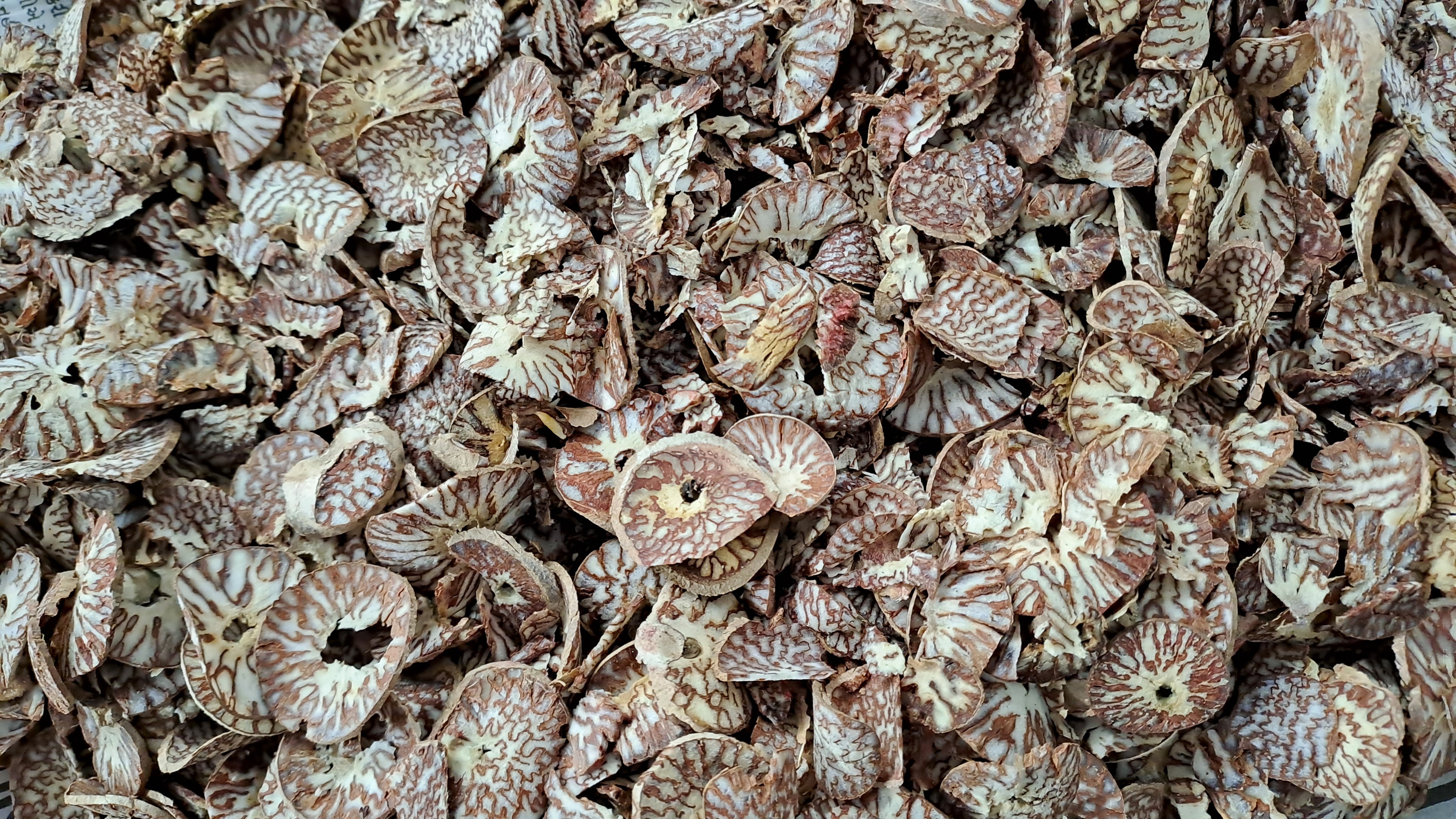 Automatic Chip Supari Cutting Machine - 1hp Motor, 2kg/min Capacity, Max Cutting Thickness 1mm, Red & White Finish, Semi-automatic Operation