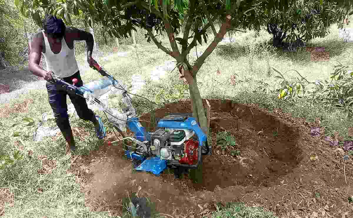 Tiller Def Agricultural Tiller 7 Hp at 52500.00 INR in Coimbatore | Novo3d