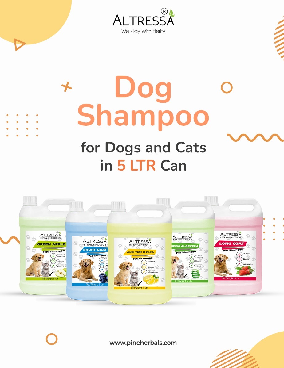 Dog Shampoo Third Party Manufacturing - 300 Ml | Pet Cleaning Product For Gentle And Effective Coat Care Ideal For Sensitive Skin